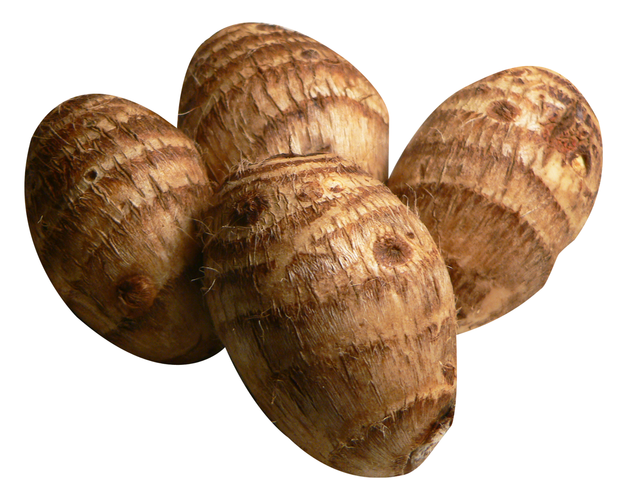Raw Taro Root